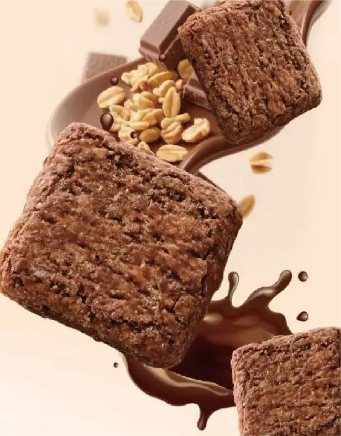 Dark Chocolate-Infused Multigrain Crackers